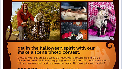 Petco 'Make a Scene' Facebook Page