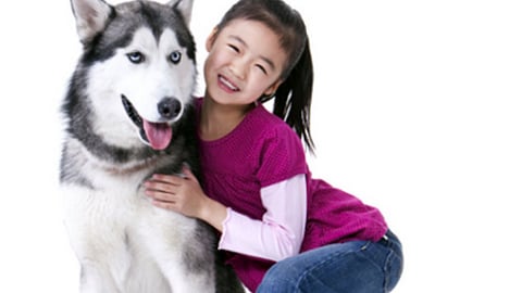 Kroger Purina 'Joyful Pet Moments' Facebook Update