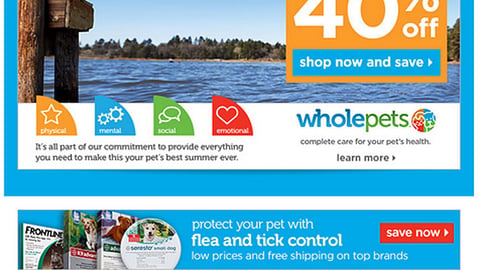 Petco Natural Choice 'Paws N' Spas' Email Ad