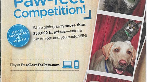 Purina 'Picture Paw-fect' FSI