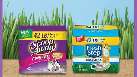 Clorox Costco 'Picture-Perfect Pets' Print Ad