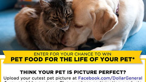 Dollar General Del Monte 'Picture Perfect Pets' Email