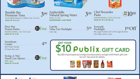 Publix 'Summer Storms' Feature