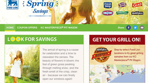 Clorox Food Lion 'Scents of Spring' Home Page