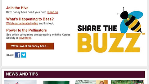 Whole Foods 'Share the Buzz' Email Ad