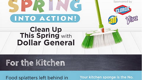 Dollar General 'Spring Into Action' Email