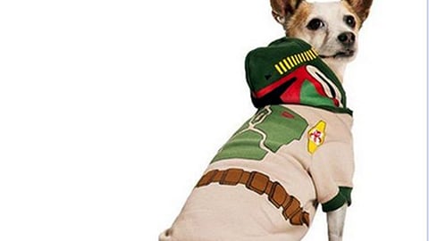 Petco 'Star Wars' Facebook Update