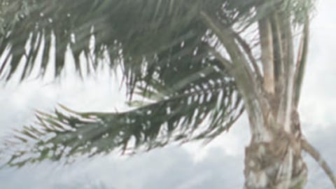 Publix Hurricane Guide Cover