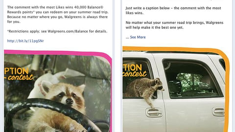 Walgreens 'Raccoons' Facebook Contest Updates