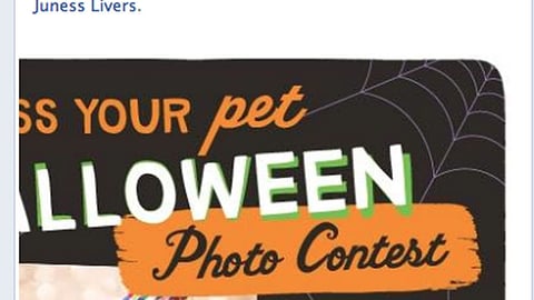 Walgreens 'Dress Your Pet' Facebook Update