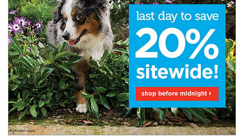 Petco 'WholePets' Email Ad