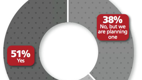 Percent of Companies with Digital Shopper Marketing Strategy