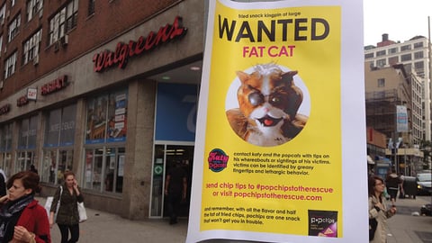 Popchips 'Fat Cat Wanted' Poster
