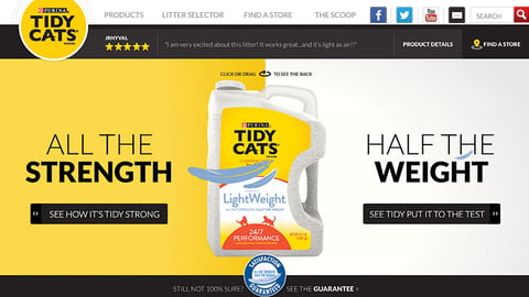 Tidy Cats Lightweight Website