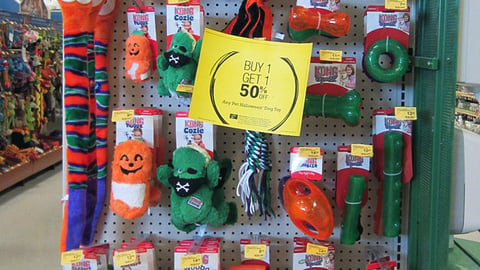 PetSmart 'Charm Away the Boogeyman' Endcap Header