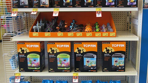PetSmart Top Fin 'Change of Scenery' Endcap Header