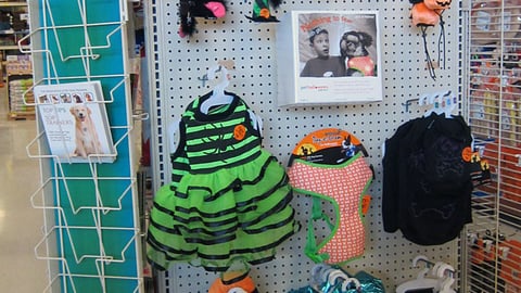 PetSmart 'Lighten the Fright' Endcap Header