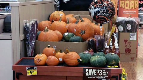 Winn-Dixie 'I Am Pumpkin' Spectacular