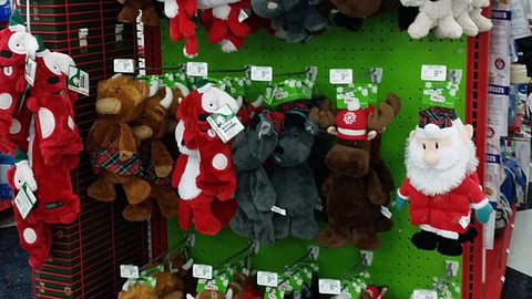 Petco 'Celebrate Joyful Moments' Endcap Display