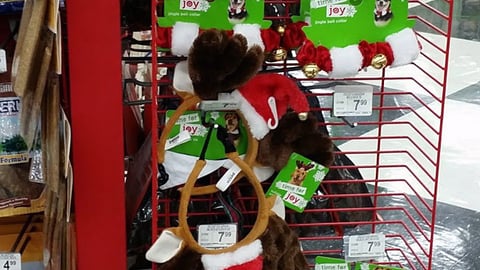 Petco 'Spread Joy' Power Wing