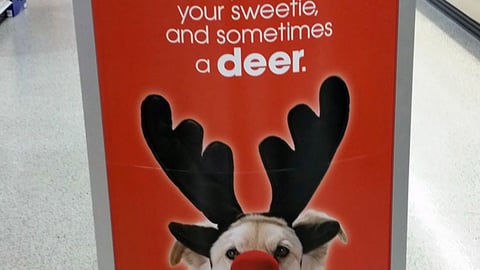 Publix 'Gifts for Your Pet' Stanchion Sign