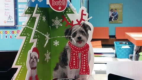 PetSmart 'No Empty Bowls' Counter Displays