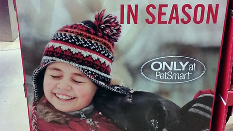 PetSmart Simply Nourish 'Give Thanks' Floorstand