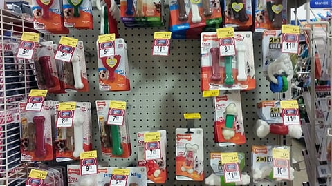 PetSmart 'Give Into the Chase' Endcap Header