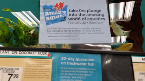 Petco 'Amazing Aquatics' Sign