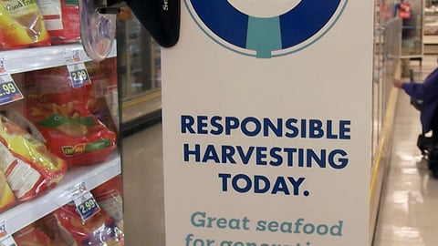 Food Lion 'Sustainable Seafood' Shelf Talker