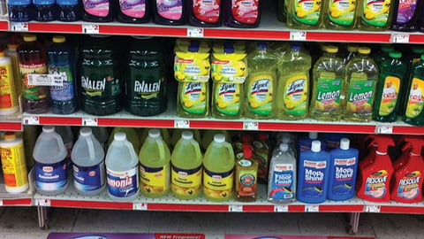 Lysol Family Dollar 'Smell the Difference' Floor Clings