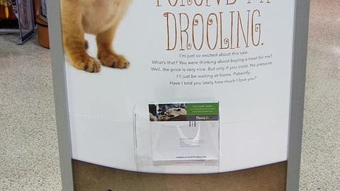 Publix Purina 'Forgive My Drooling' Standee
