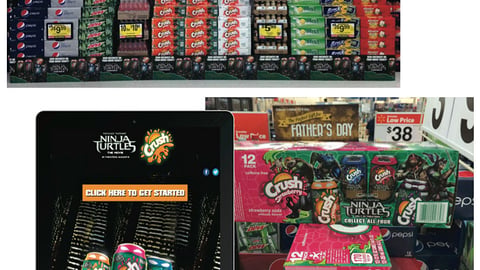 Crush 'Teenage Mutant Ninja Turtles' Program