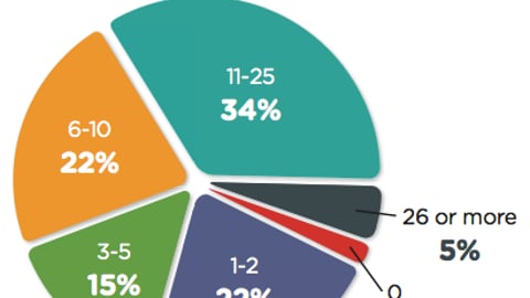 Size of Shopper Insights Teams
