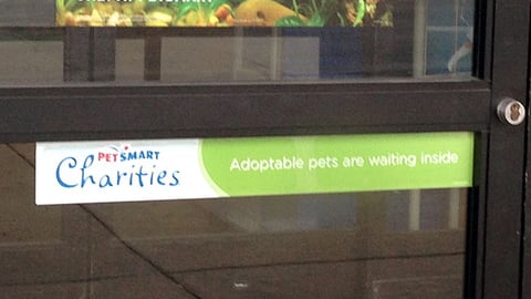 PetSmart National Geographic Door Cling