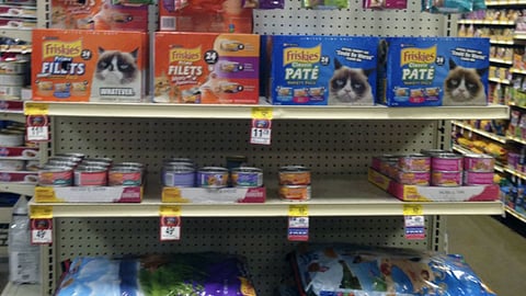 PetSmart Purina Endcap Display