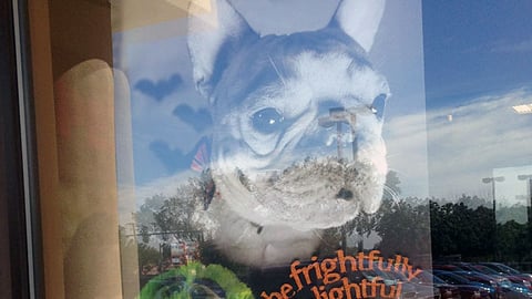 PetSmart 'Be Frightfully Delightful' Window Poster