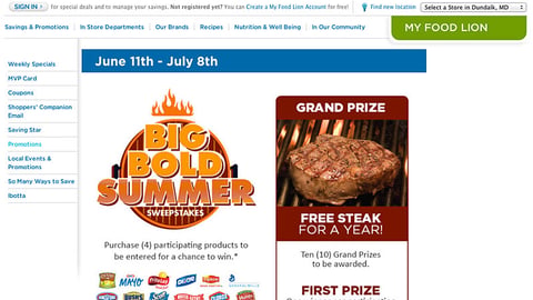Food Lion 'Big Bold Summer' Landing Page
