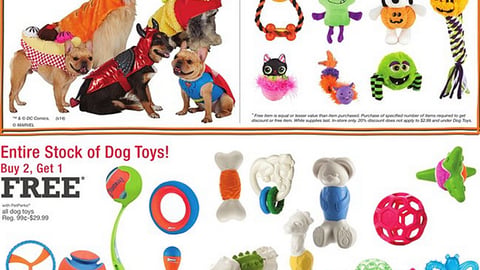 PetSmart '600 Halloween Products' Feature