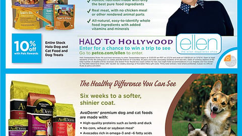 Petco 'Halo to Hollywood' Feature