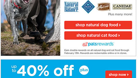 Petco 'Halo to Hollywood' Email Ad