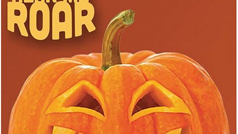Winn-Dixie 'I Am Pumpkin' Facebook Update