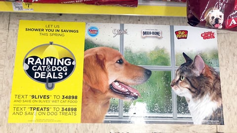 Del Monte Dollar General 'Raining Cats & Dogs' Floor Cling