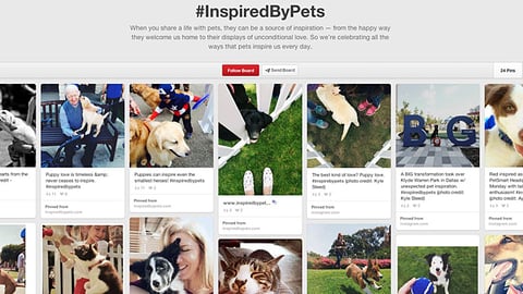 PetSmart 'Inspired by Pets' Pinterest Board