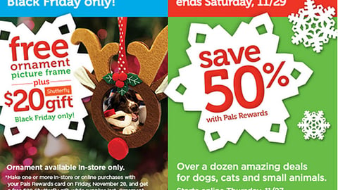 Petco 'Joy. Love. Pets.' Email