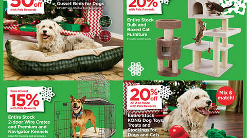 Petco 'Joy. Love. Pets.' Feature