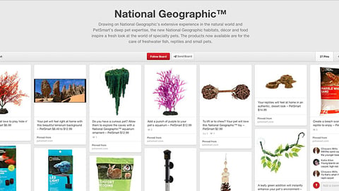PetSmart National Geographic Pinterest Board