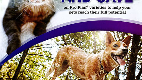 Purina PetSmart 'Stock Up' Cover