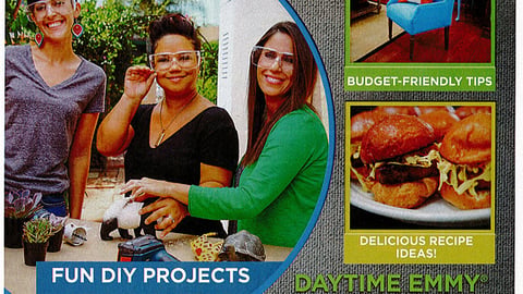 P&G 'Home Made Simple' FSI