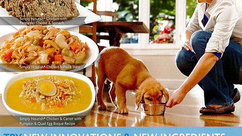 PetSmart 'Stock Up' Cover